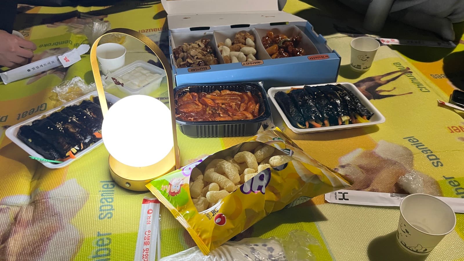 돗자리 위에 차려진 떡볶이, 치킨, 김밥, 과자