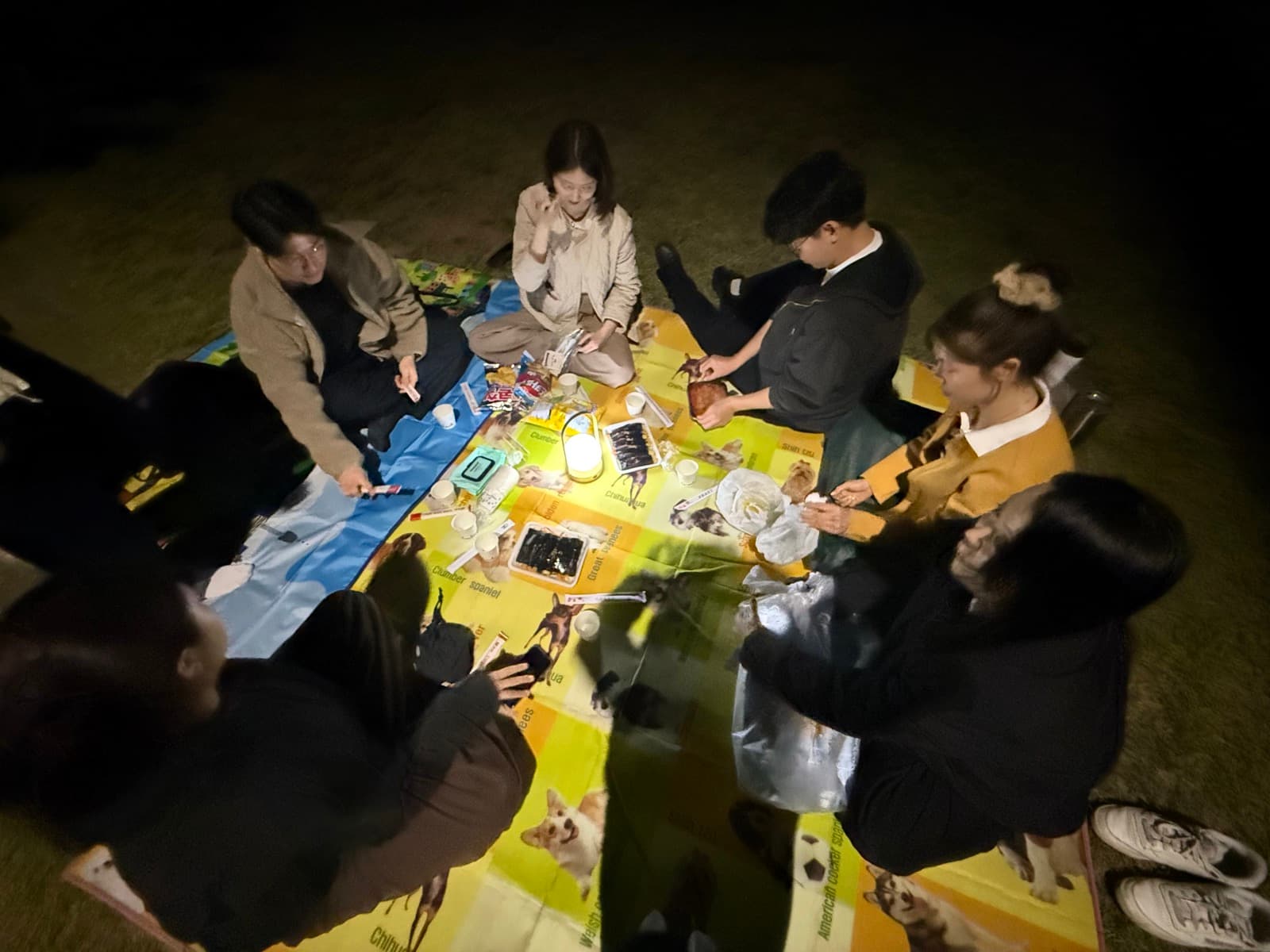 위에서 내려다본 둘러앉은 모습